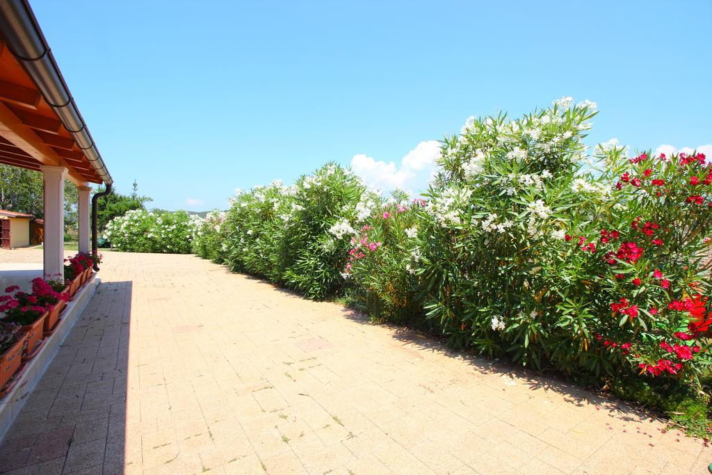 Holiday home Valmoneda Rovinj